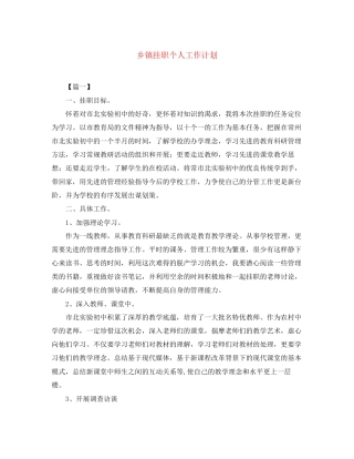 乡镇挂职个人工作计划