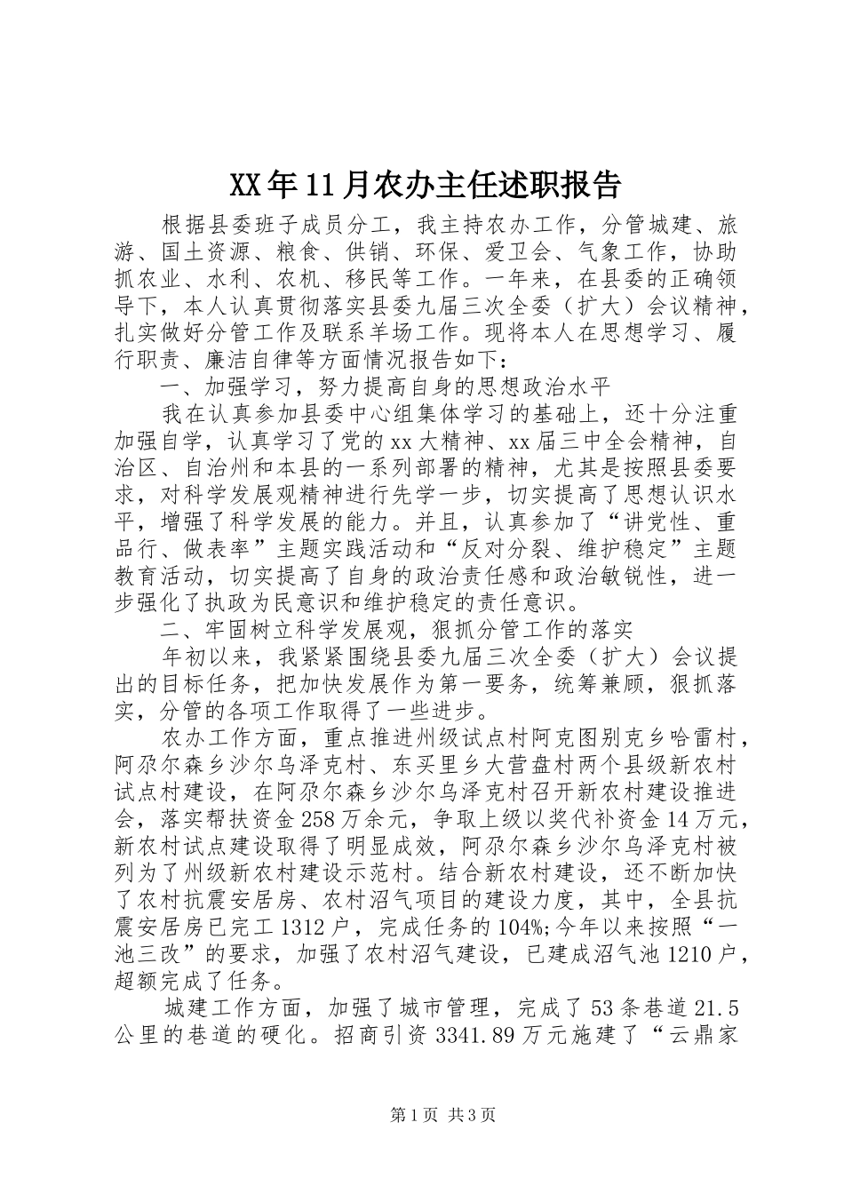 XX年11月农办主任述职报告_第1页