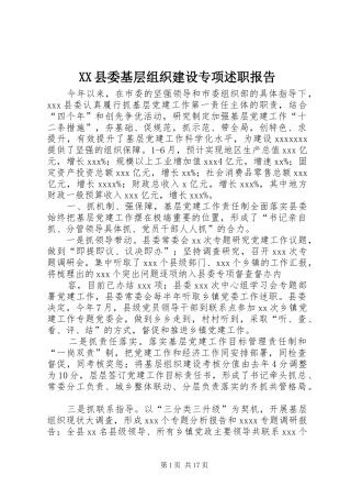XX县委基层组织建设专项述职报告