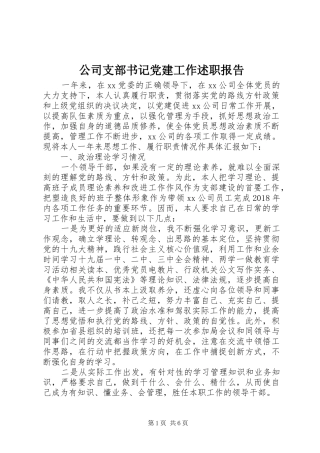 公司支部书记党建工作述职报告