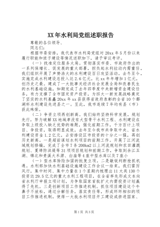 XX年水利局党组述职报告