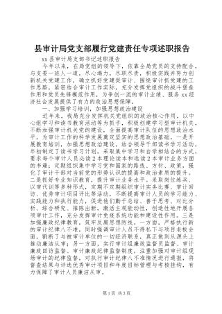 县审计局党支部履行党建责任专项述职报告