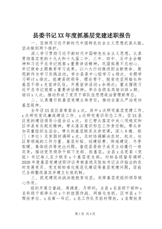 县委书记XX年度抓基层党建述职报告