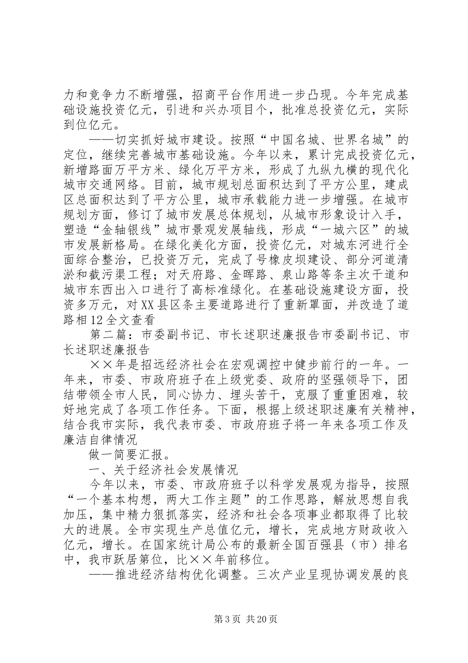 市委副书记、市长述职述廉报告_第3页