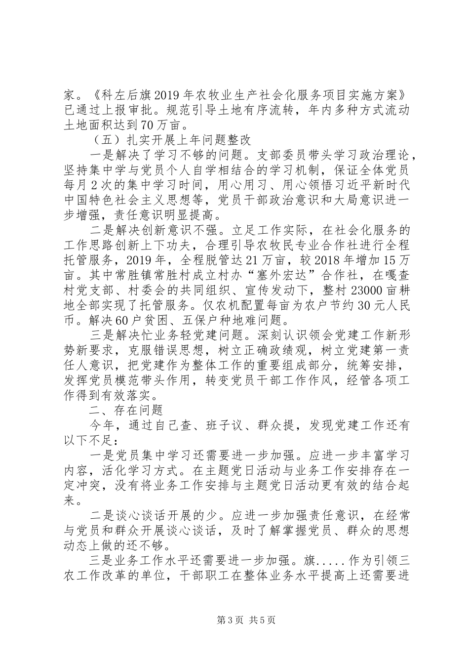 农业农村系统党支部书记述职述廉报告_第3页