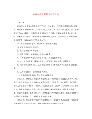 农村村委会年工作计划