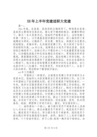 XX年上半年党建述职大党建