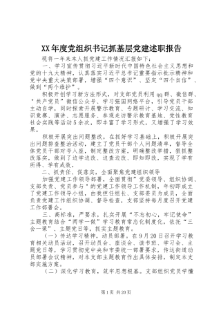 XX年度党组织书记抓基层党建述职报告