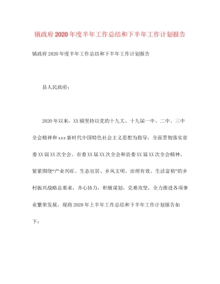 镇政府年度半年工作总结和下半年工作计划报告