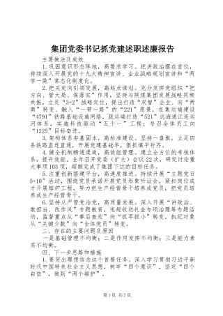 集团党委书记抓党建述职述廉报告