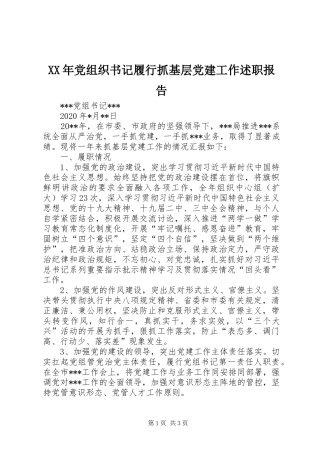 XX年党组织书记履行抓基层党建工作述职报告