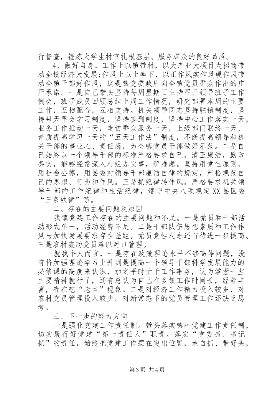 履行主体责任述职报告_第3页