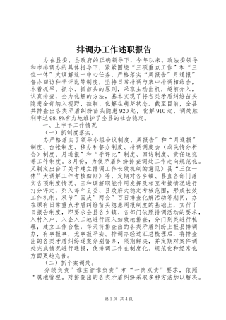 排调办工作述职报告