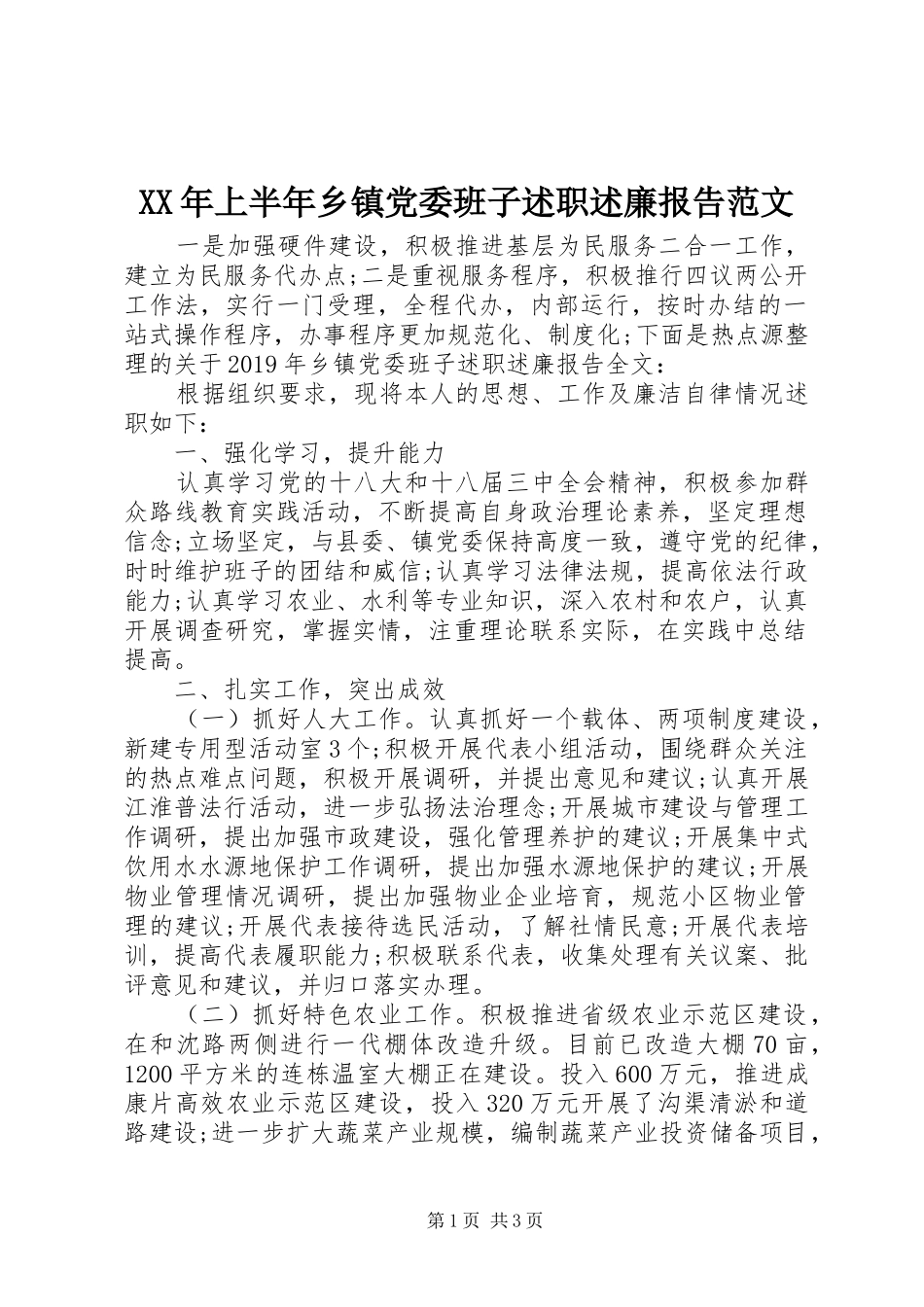 XX年上半年乡镇党委班子述职述廉报告范文_第1页