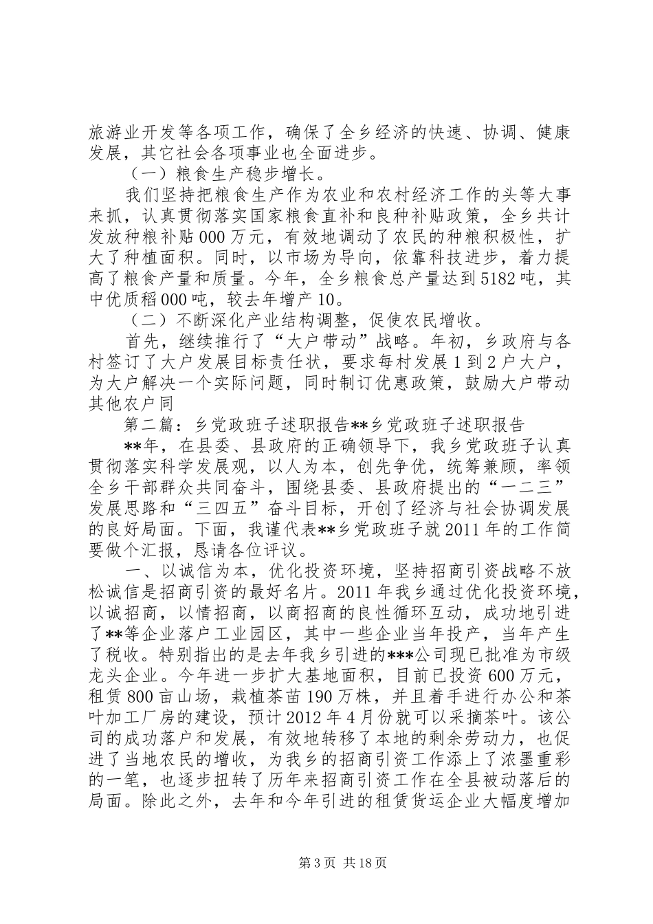 乡二00五年班子述职报告_第3页
