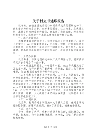 关于村支书述职报告