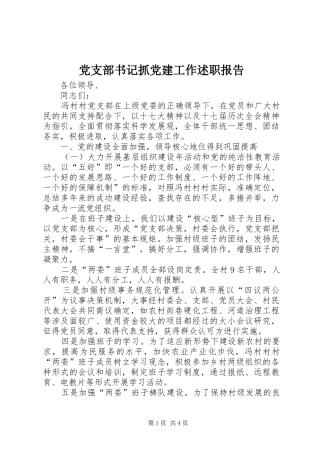 党支部书记抓党建工作述职报告