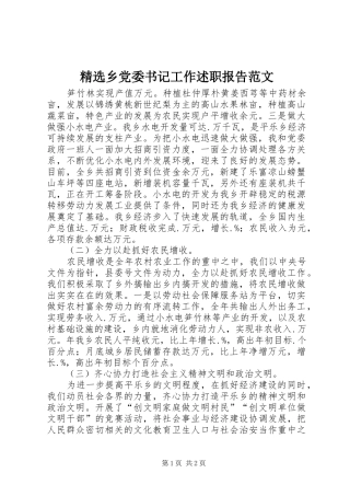 精选乡党委书记工作述职报告范文