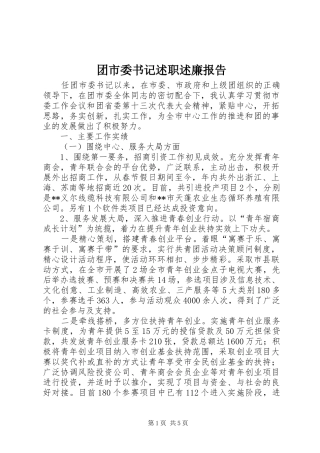 团市委书记述职述廉报告