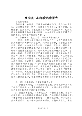 乡党委书记年度述廉报告