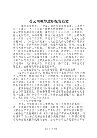 分公司领导述职报告范文