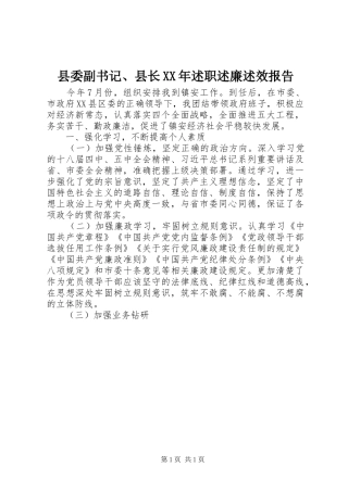 县委副书记、县长XX年述职述廉述效报告
