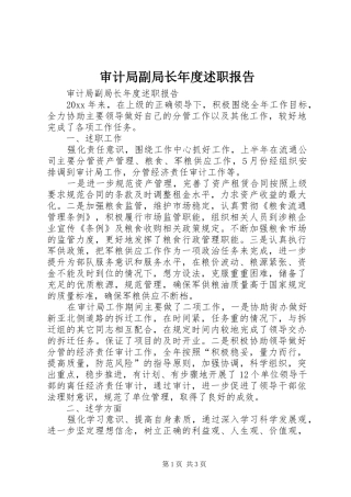 审计局副局长年度述职报告