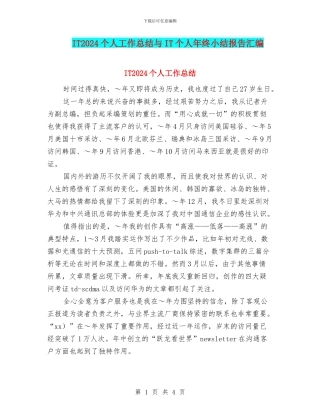 IT2024个人工作总结与IT个人年终小结报告汇编