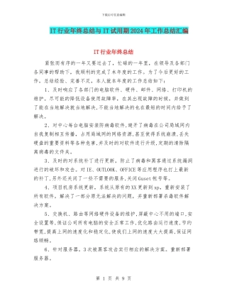 IT行业年终总结与IT试用期2024年工作总结汇编