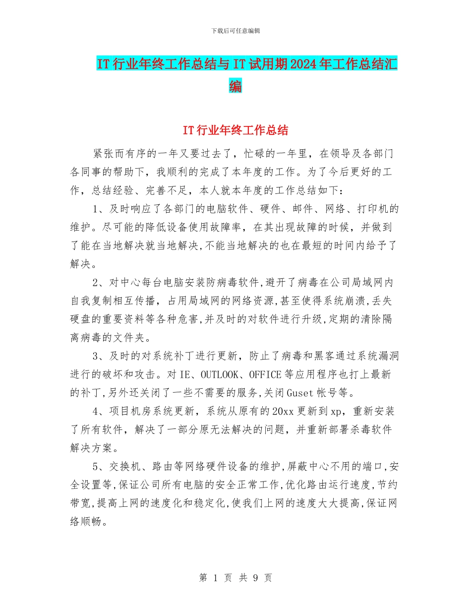 IT行业年终工作总结与IT试用期2024年工作总结汇编_第1页