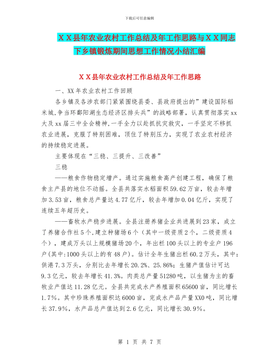 XX县年农业农村工作总结及年工作思路与XX同志下乡镇锻炼期间思想工作情况小结汇编_第1页