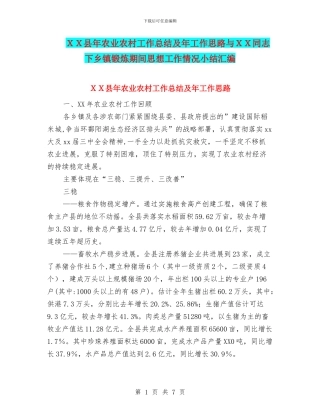 XX县年农业农村工作总结及年工作思路与XX同志下乡镇锻炼期间思想工作情况小结汇编
