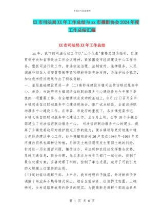 XX市司法局XX年工作总结与xx市摄影协会2024年度工作总结汇编