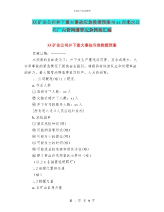 XX矿业公司井下重大事故应急救援预案与xx自来水公司厂内管网爆管应急预案汇编