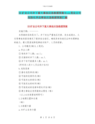 XX矿业公司井下重大事故应急救援预案与xx药业公司危险化学品事故应急救援预案汇编