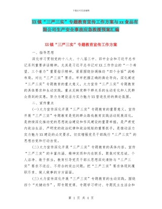 XX镇“三严三实”专题教育宣传工作方案与xx食品有限公司生产安全事故应急救援预案汇编