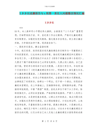 X乡乡长述廉报告与x局第一责任人问题整改情况汇编