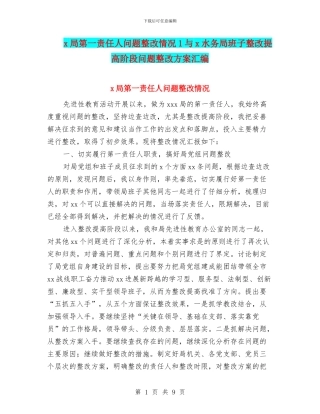 x局第一责任人问题整改情况1与x水务局班子整改提高阶段问题整改方案汇编