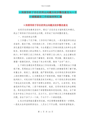 ×局领导班子存在的突出问题及初步整改意见与×市小城镇建设工作经验材料汇编