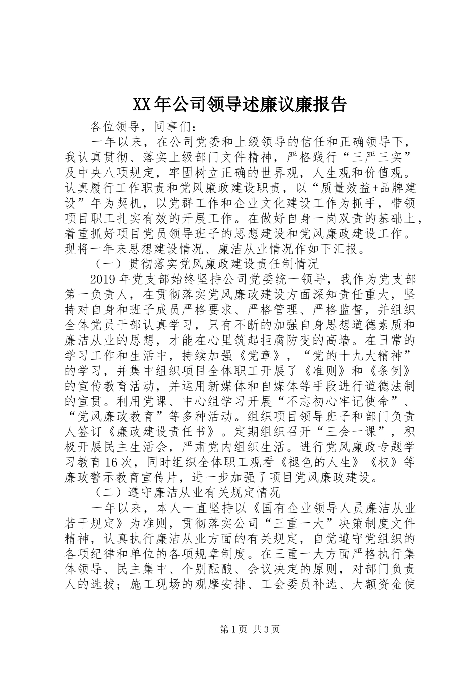 XX年公司领导述廉议廉报告_第1页