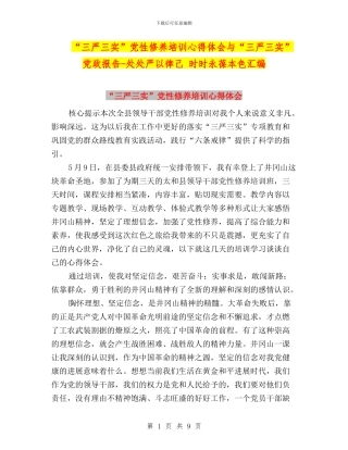 “三严三实”党性修养培训心得体会与“三严三实”党政报告