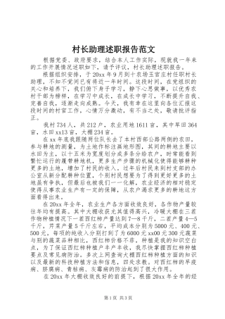 村长助理述职报告范文