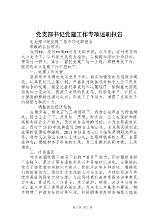 党支部书记党建工作专项述职报告