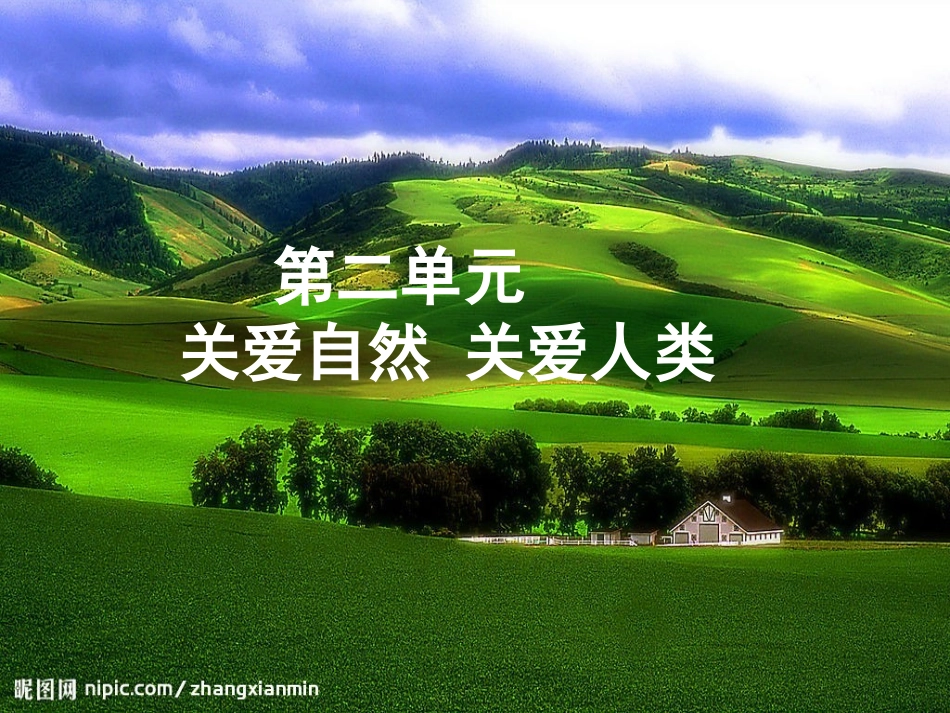 共同的问题共同选择课件_第1页