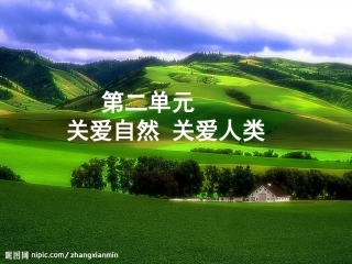 共同的问题共同选择课件