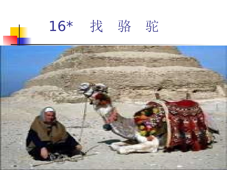 找骆驼PPT课件_第3页