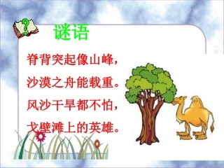 找骆驼PPT课件