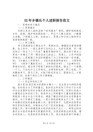 XX年乡镇长个人述职报告范文