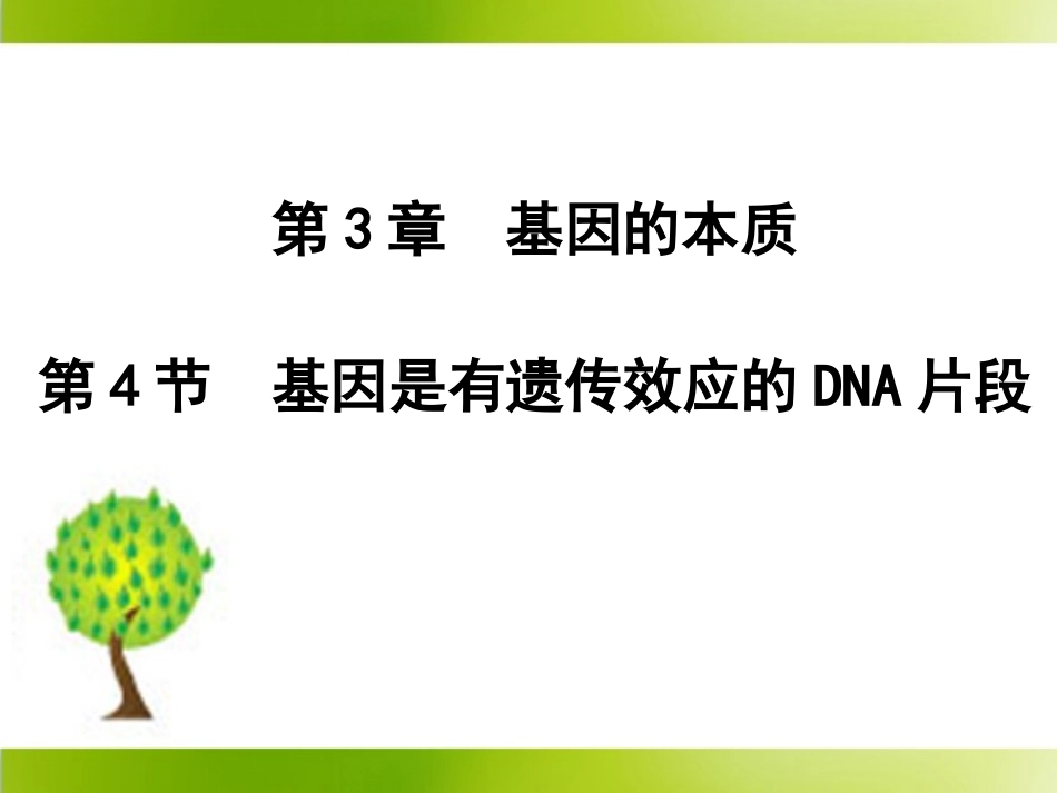 《基因是有遗传效应的DNA片段》参考课件2_第1页