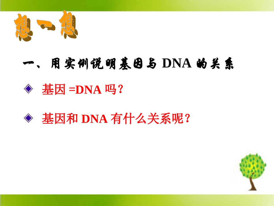 《基因是有遗传效应的DNA片段》参考课件2_第2页